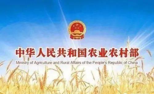 推進“存欄萬量規模”加快發展？農業農村部答復，適度規模經營！